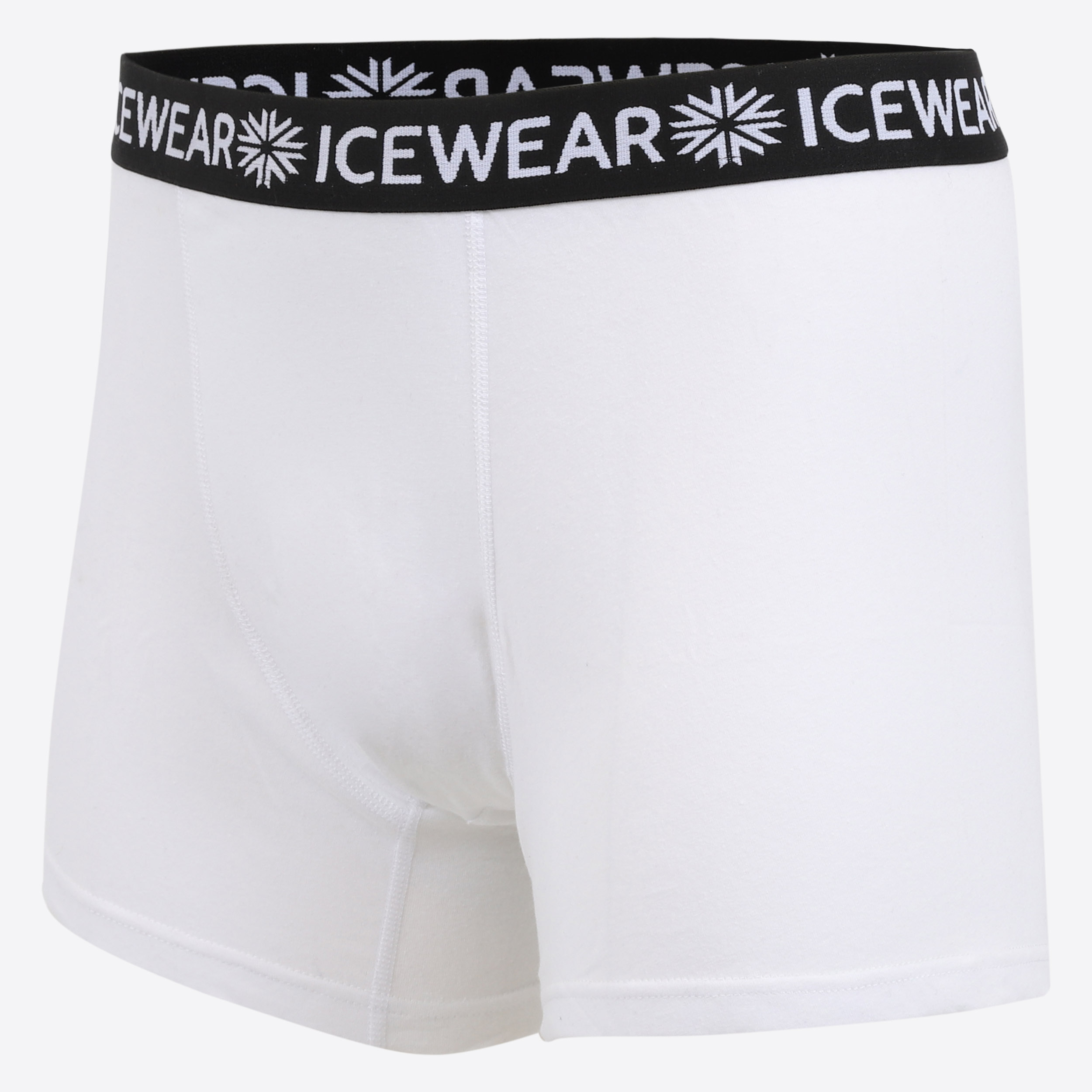 underwear-boxer-shorts-iceland-91.jpeg